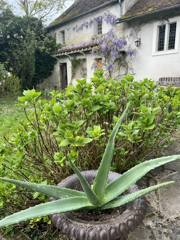 Le Couvent