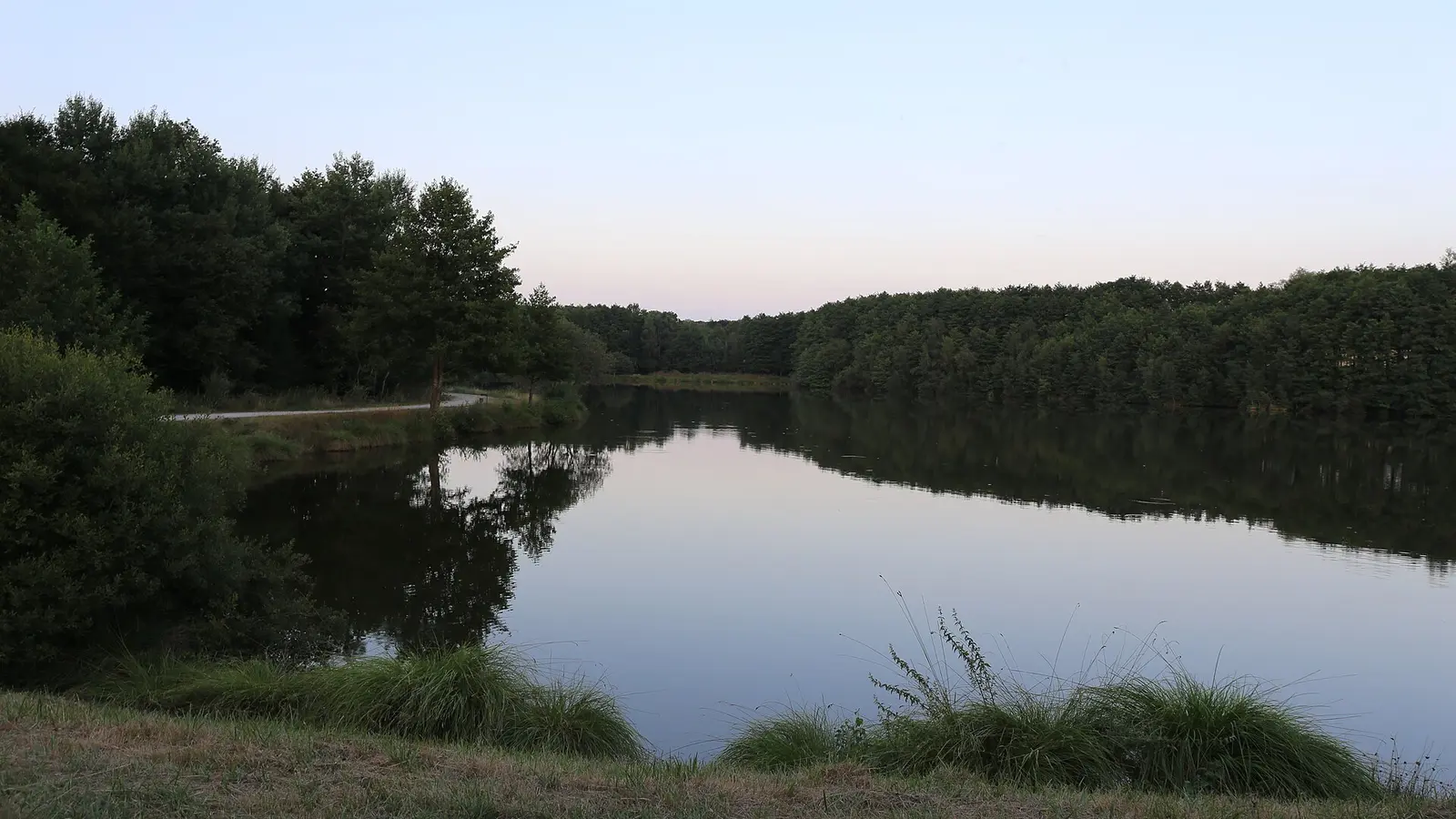 L'étang des Joumiers à Saint-Sauveur-en-Puisaye, entre forêt et ciel du soir