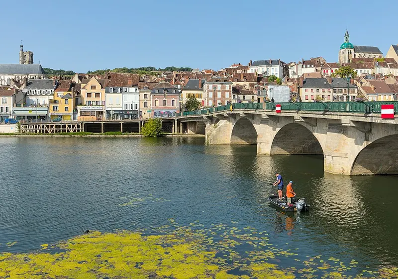 Joigny et le pont Saint-Nicolas vus depuis la rive gauche de l'Yonne